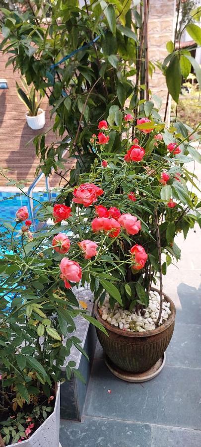 Riverlife Homestay Hoi An Zewnętrze zdjęcie